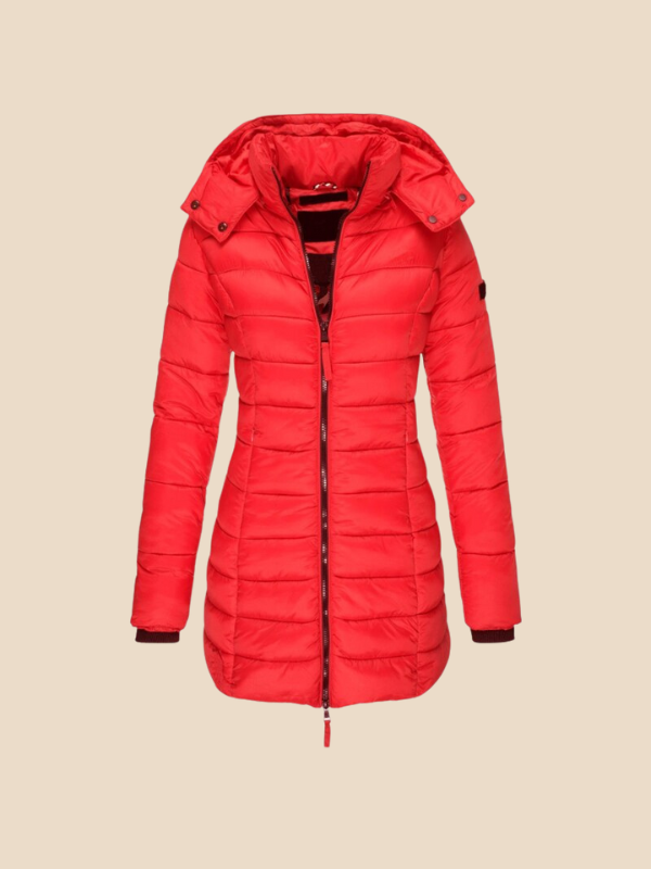 Mid-Length Hooded Puffer Jacket with Fitted Silhouette and Zip Closure