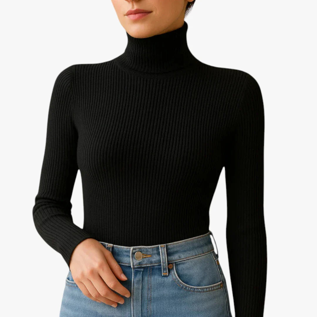 Turtleneck Long Sleeve Fitted Rib Knit Top