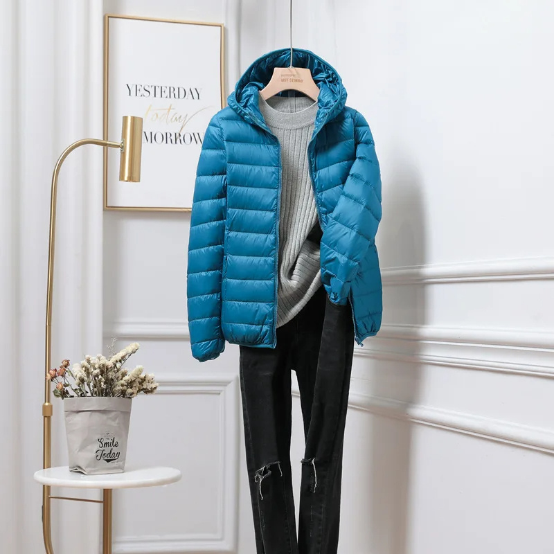 Hooded Puffer Jacket with Zip Closure and Quilted Design