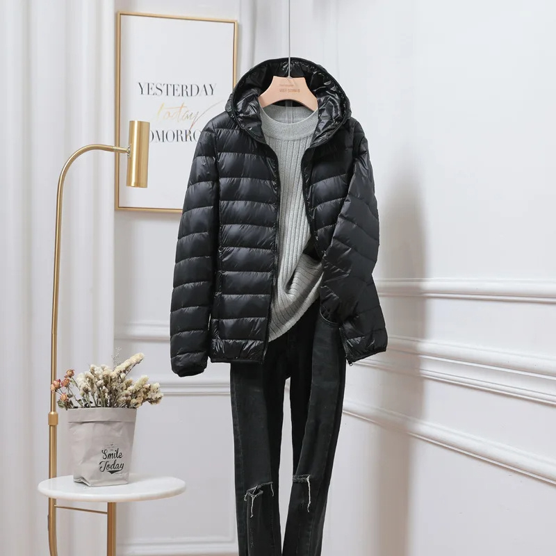 Hooded Puffer Jacket with Zip Closure and Quilted Design