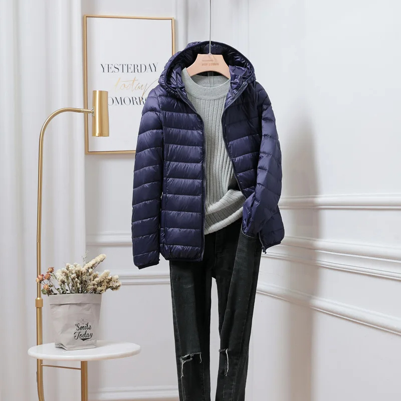 Hooded Puffer Jacket with Zip Closure and Quilted Design