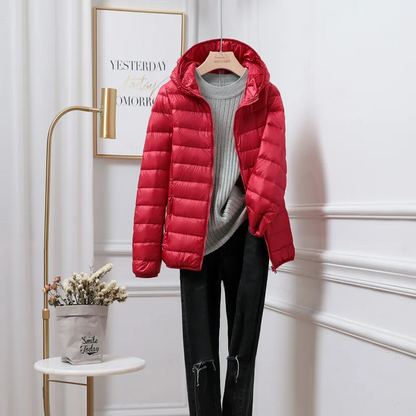 Hooded Puffer Jacket with Zip Closure and Quilted Design