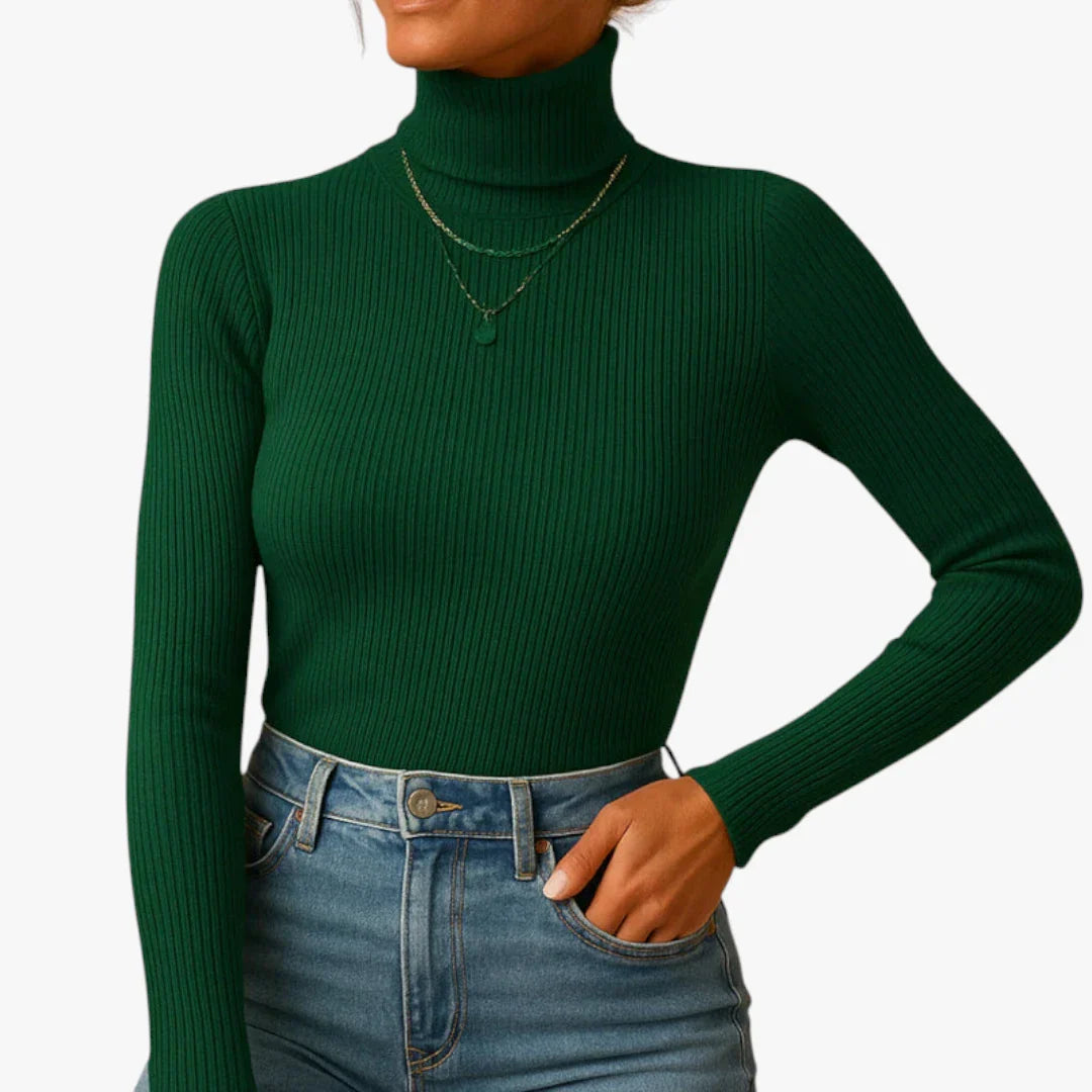 Turtleneck Long Sleeve Fitted Rib Knit Top