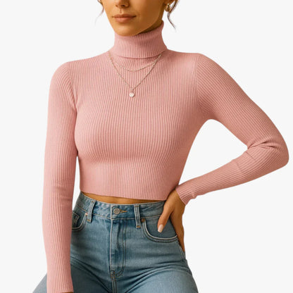 Turtleneck Long Sleeve Fitted Rib Knit Top