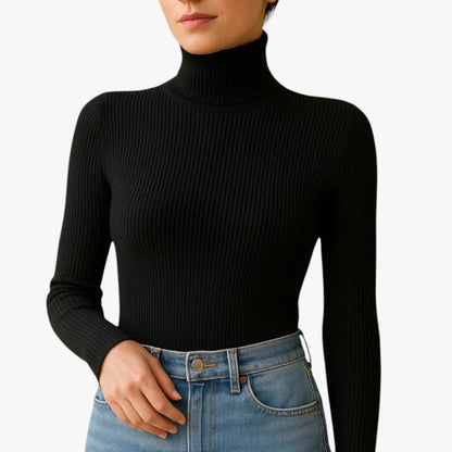 Turtleneck Long Sleeve Fitted Rib Knit Top